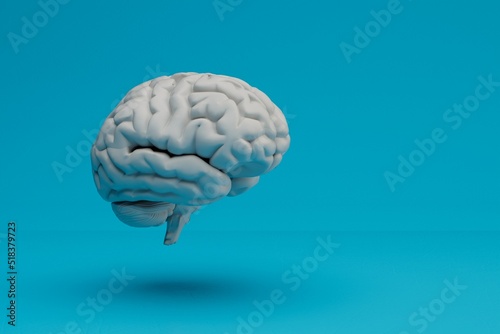 brain on a blue background. anatomical systems. neurological problems. 3d render. 3d illustration