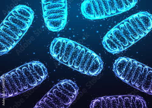 Mitochondria under microscope on dark blue backgound in futuristic glowing low polygonal style. photo
