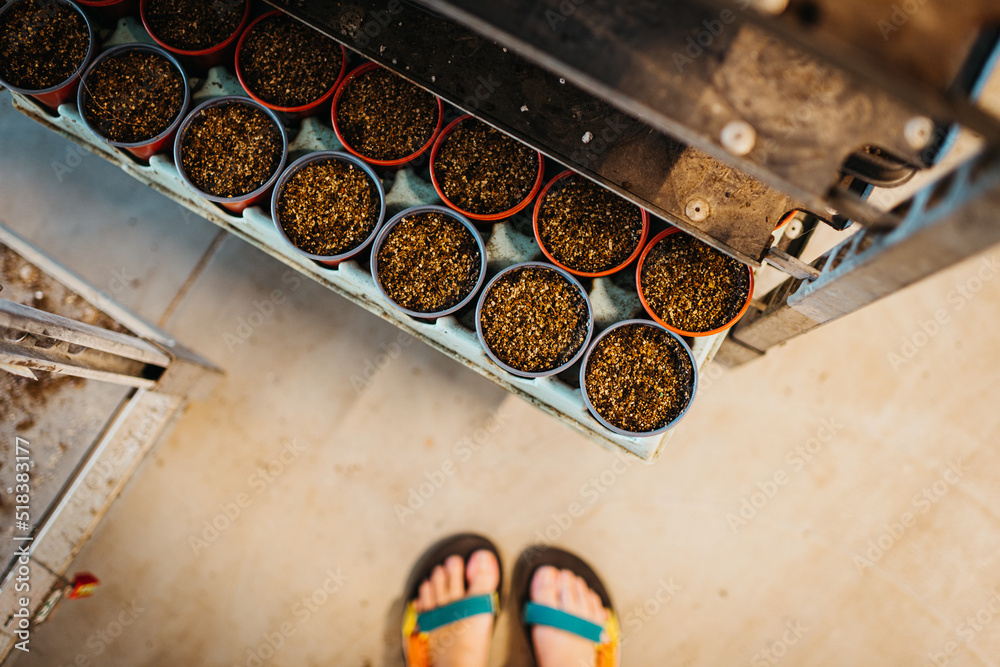 Pots filled with mud Pots filled with mud