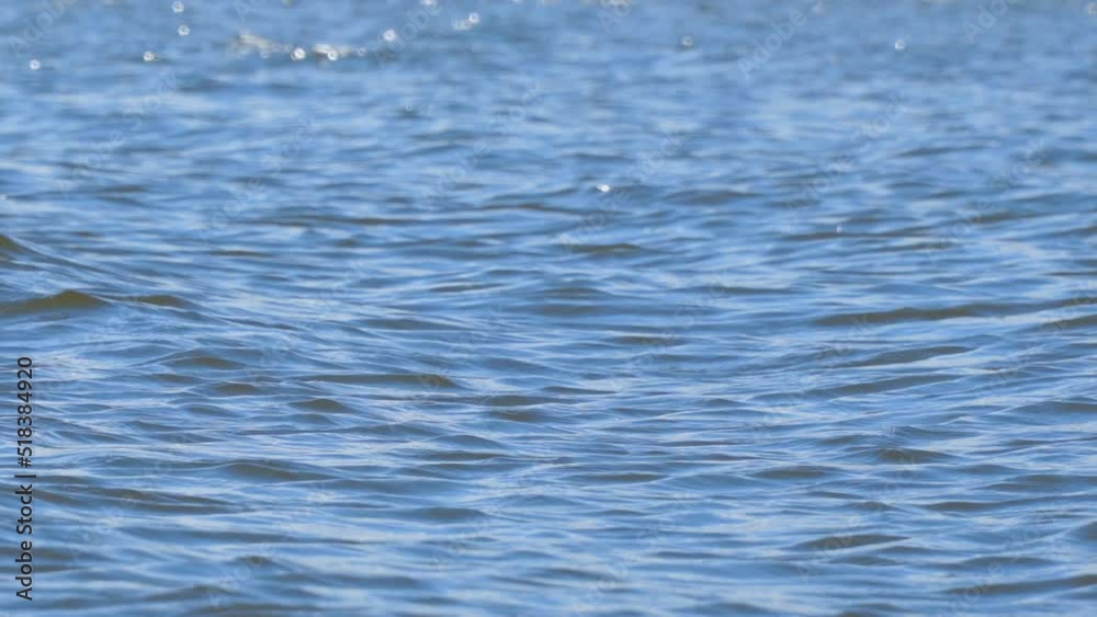 Waves, ripples and reflections on the blue surface of the water Waves, ripples and reflections on the blue surface of the water