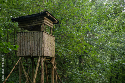 High seat of a hunter in the black forrest. Tree stand, ladder stand or deer stand. Deer hunting. © Peter Togel