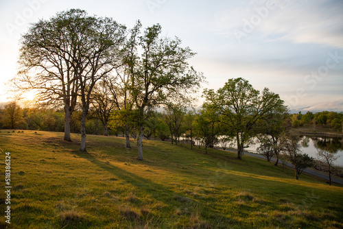 Tranquil Ranch In Northern California