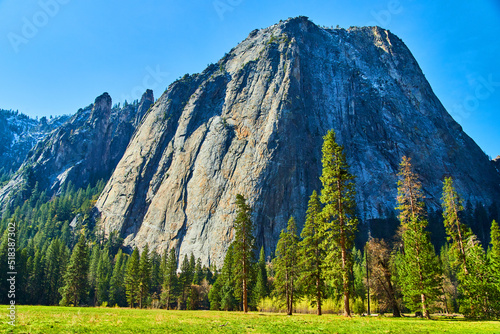 Yosemite iconic Cathedral Rocks from fields and forest floor