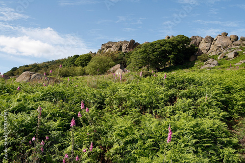 The Roaches rocky outcrop in the Peak District National Park, Staffordshire. England UK