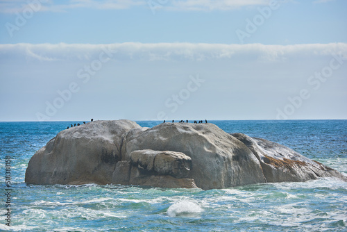 Ocean view of birds sitting on a boulder or rock in the sea in Camps Bay, Cape Town in South Africa. Relaxed and calm landscape view of the sea and beach during the day in summer against a blue sky