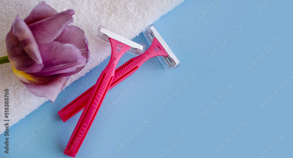 Fototapeta premium Pink razor tulip flower on colored background