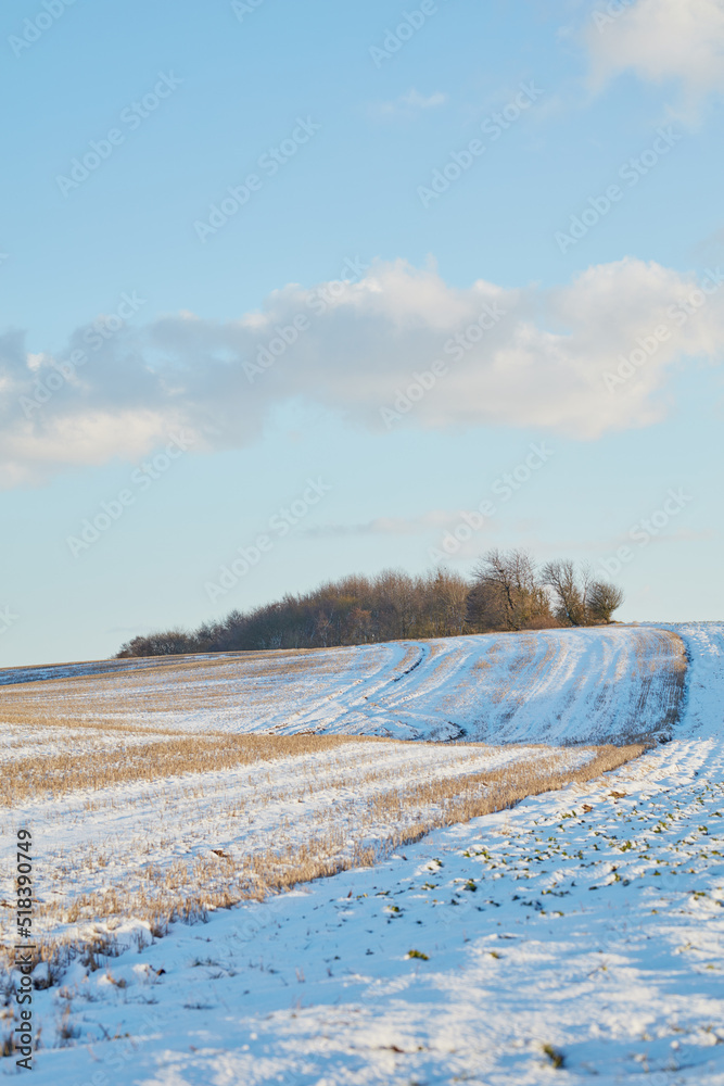 Winter landscape on a farm with trees in a row against a cloudy sky background with copy space in Denmark. Snowy plowed field across a beautiful countryside in nature during chilly and cold weather Winter landscape on a farm with trees in a row against a cloudy sky background with copy space in Denmark. Snowy plowed field across a beautiful countryside in nature during chilly and cold weather