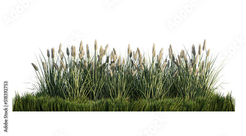 A 3d rendering image of a lot of grass flower on green grass field photo