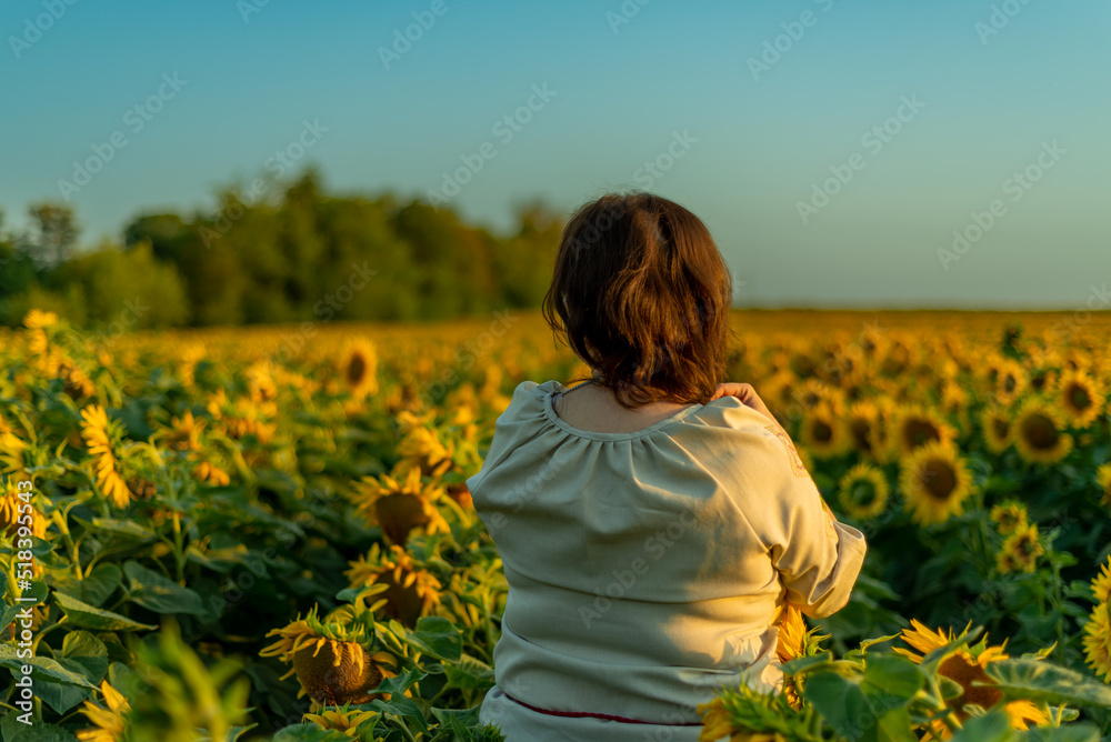 girl in the field of sunflowers at sunset girl in the field of sunflowers at sunset