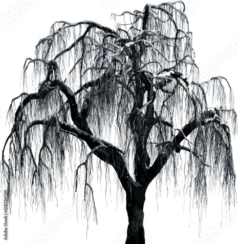 Front view of Tree (Snowy Tree Winter 4) Plant illustration vector	
