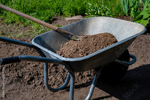 Shovel and wheelbarrow in the garden. Gardening