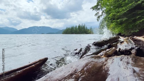 Water splashing on a driftwood log on the beach of Harrison Lake, British Columbia, Canada