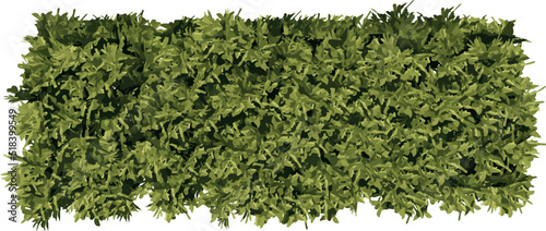 Front view of Plant (rectangular bush 1) Tree illustration vector	
