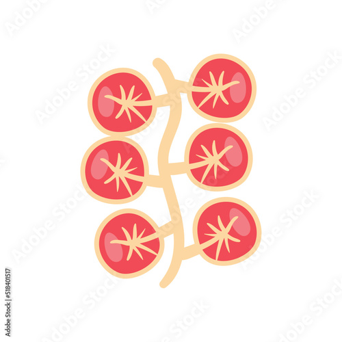 flat cherry design