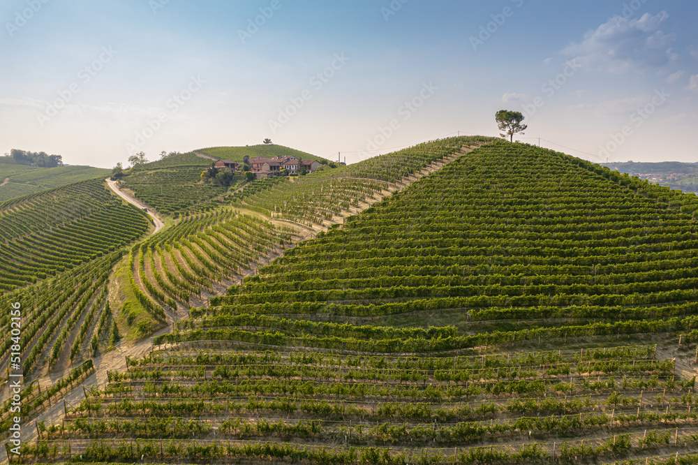 Beautiful hills and vineyards surrounding La Morra village in the Langhe region. Cuneo, Piedmont, Italy