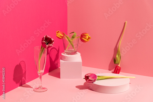 Still life of Spring tulip flowers on pink background and shapes