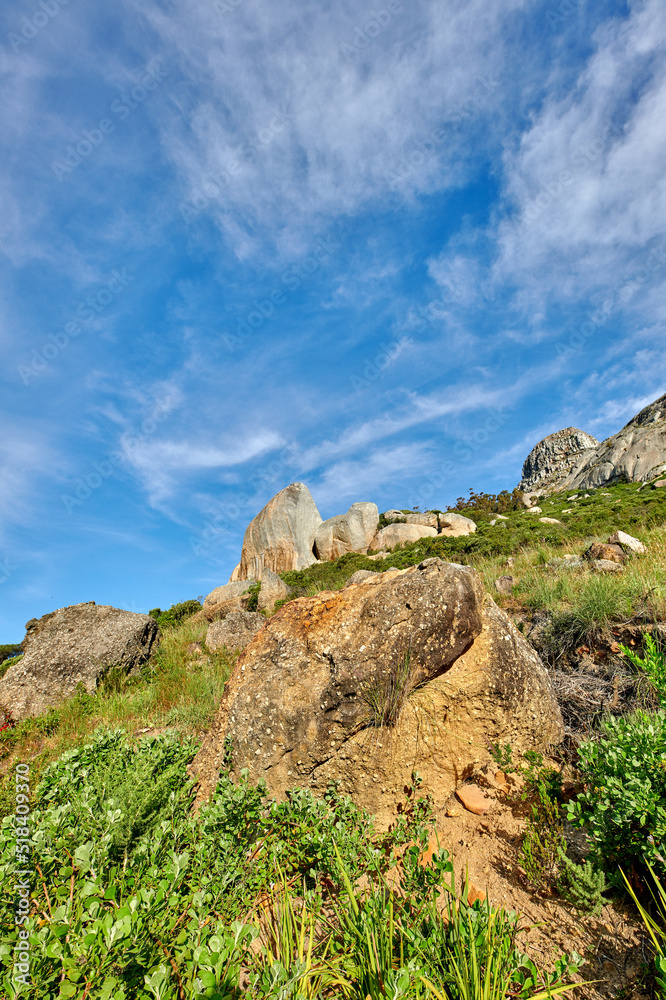 Plants and shrubs growing on a rocky mountain slope against a cloudy blue sky background with copy space from below. Low angle of scenic landscape of a rugged hill and cliff in a natural environment