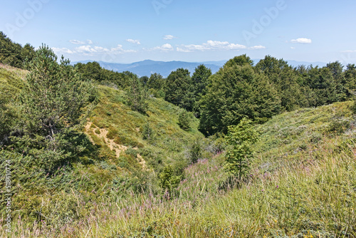 Summer landscape of Belasitsa Mountain, Bulgaria