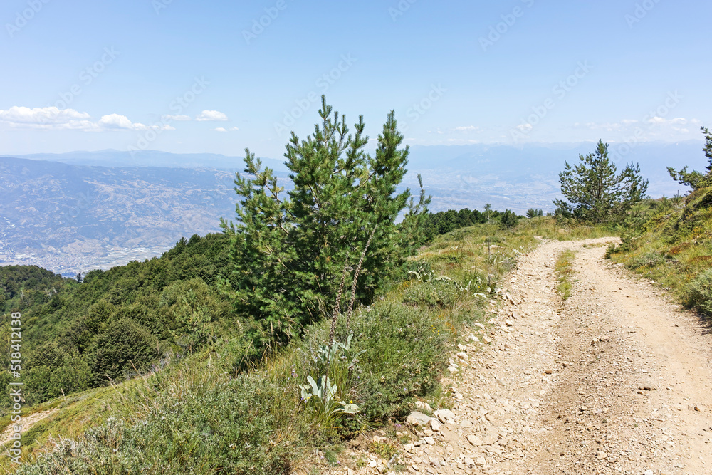 Obraz premium Summer landscape of Belasitsa Mountain, Bulgaria