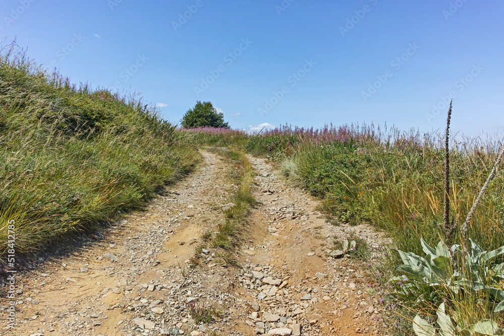 Fototapeta premium Summer landscape of Belasitsa Mountain, Bulgaria