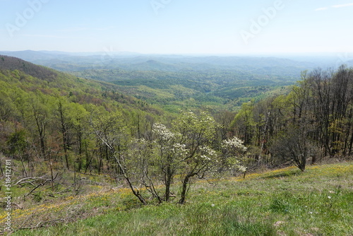 Blue Ridge Parkway  North Carolina