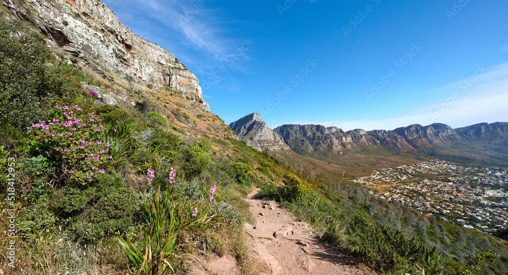 Scenic hiking trail up a mountain surrounded by lush green plants and nature with a clear blue sky. Beautiful landscape of a path on a mountainside near bright foliage with copy space on a summer day Scenic hiking trail up a mountain surrounded by lush green plants and nature with a clear blue sky. Beautiful landscape of a path on a mountainside near bright foliage with copy space on a summer day