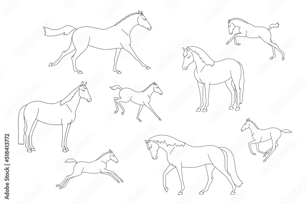 Collection of line images of free mares with foals, for colouring book - obrazy, fototapety, plakaty 
