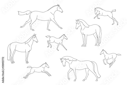 Collection of line images of free mares with foals, for colouring book