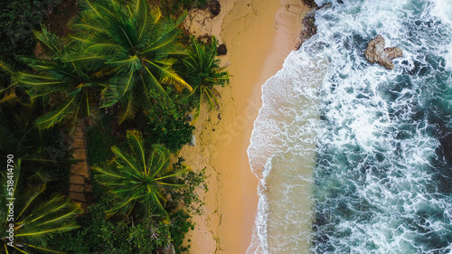 drone view of half beach half jungle of Costa Rica
