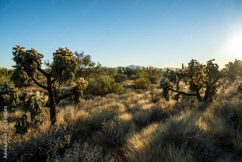 An overlooking view of nature in Tucson, Arizona An overlooking view of nature in Tucson, Arizona