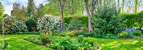 Foto Landscape view of landscaped garden in serene, peaceful private or secluded backyard at home