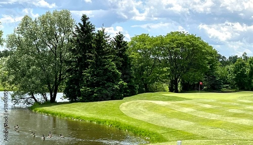 Golf Course with green, lake, trees and Canada Geese