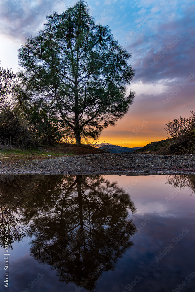 sunset reflections sunset reflections