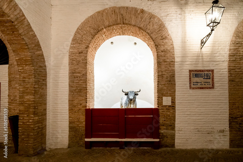 A statue of a bull inside the Plaza de toros de la Real Maestranza de Caballería de Sevilla, the historic bullring in Seville, Spain. photo