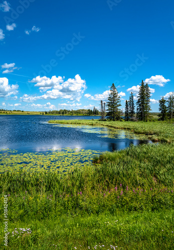 Tranquil landscape with fur trees and water plants over Sand Lake near Riding Mountain National Park on John Bracken Hwy in Onanole, Manitoba, Canada photo