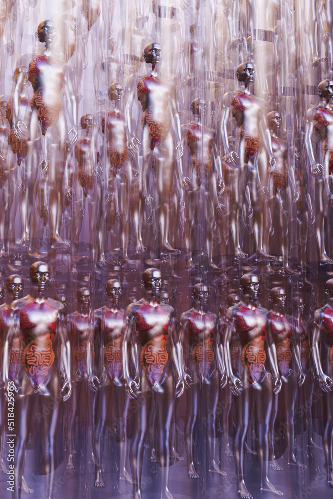 Body organs Body organs