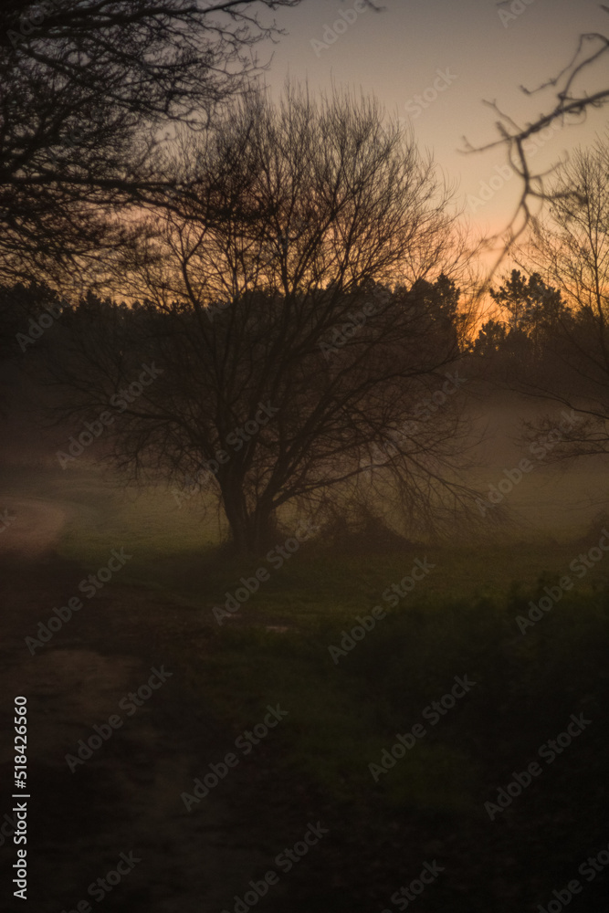 Camino de Santiago sunrise in the countryside Camino de Santiago sunrise in the countryside
