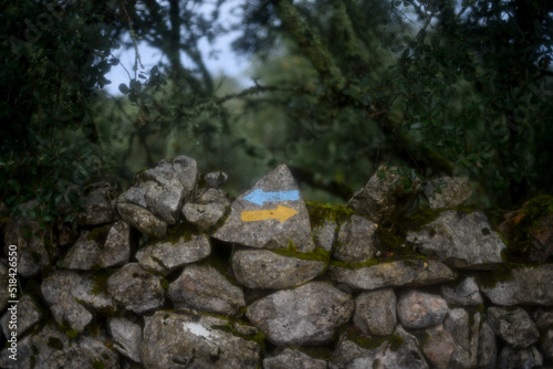 Camino de Santiago typical arrows in yellow and blue photo