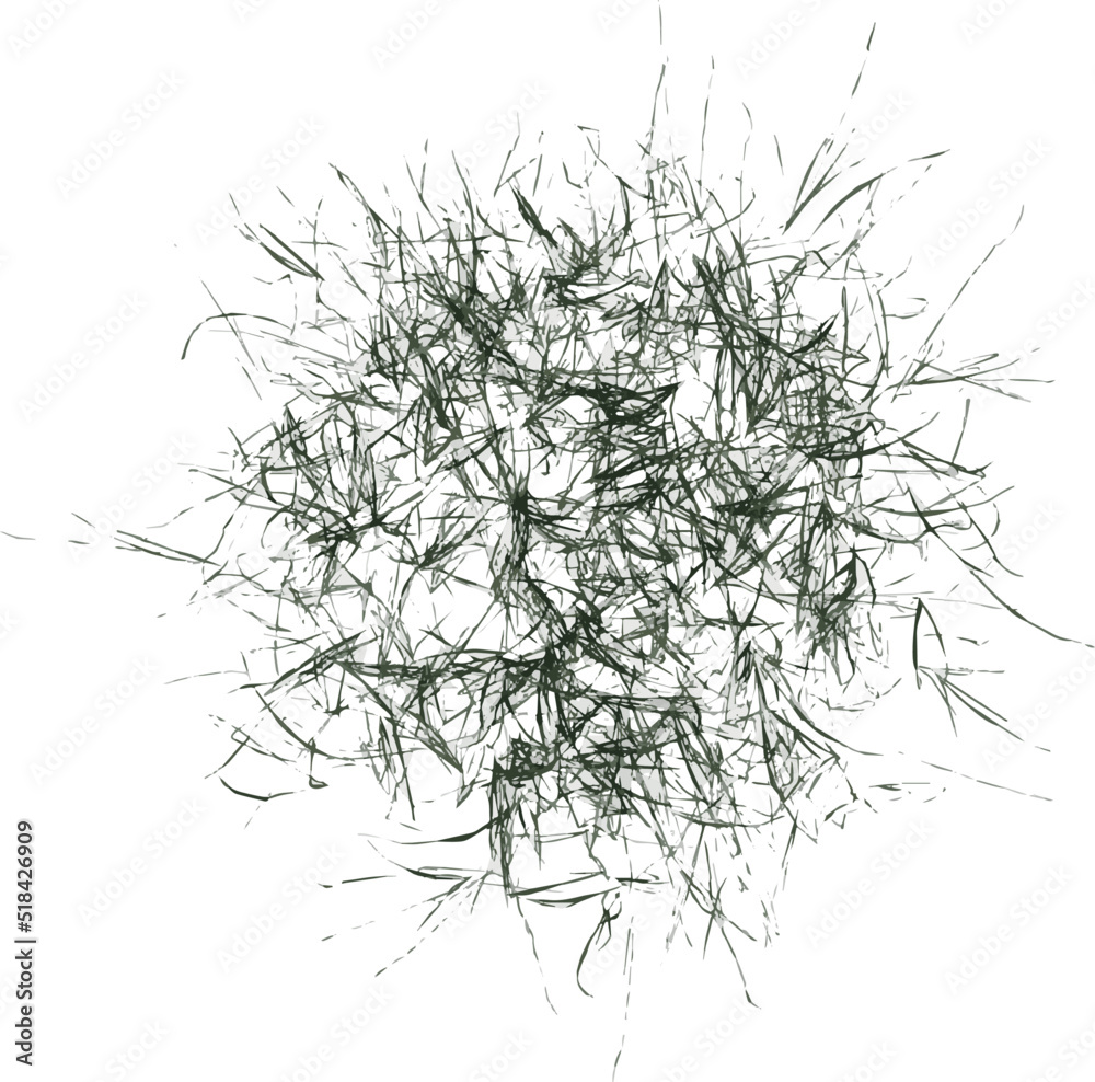 Top view of Plant ( Lawn Grass 1) Tree illustration vector
Top view of Plant ( Lawn Grass 1) Tree illustration vector