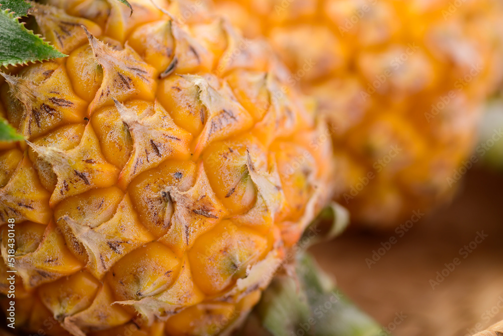 Close up of pineapple fruit in basket, Tropical fruit in summer season Close up of pineapple fruit in basket, Tropical fruit in summer season
