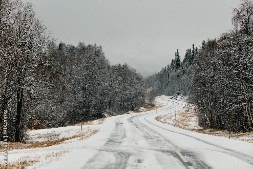 Snow-Covered Road in Late Autumn Snow-Covered Road in Late Autumn