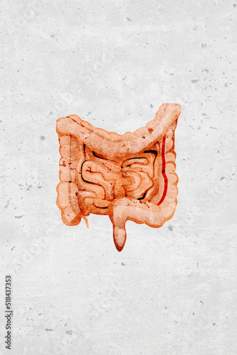 graphic Stylized illustration, icons, symbols andante of internal man human organ large and small intestates - part of a set