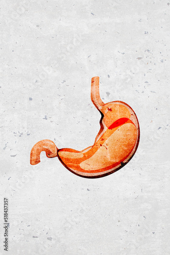 Graphic stylized illustration of iconic symbols the internal human stomach organ - part of a set