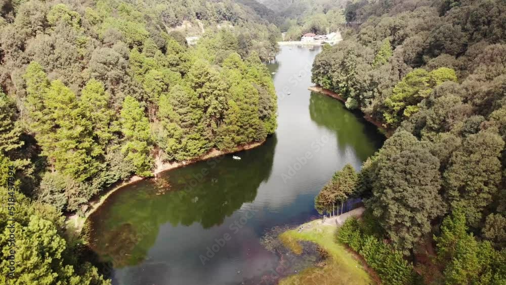río con bosque a los lados
