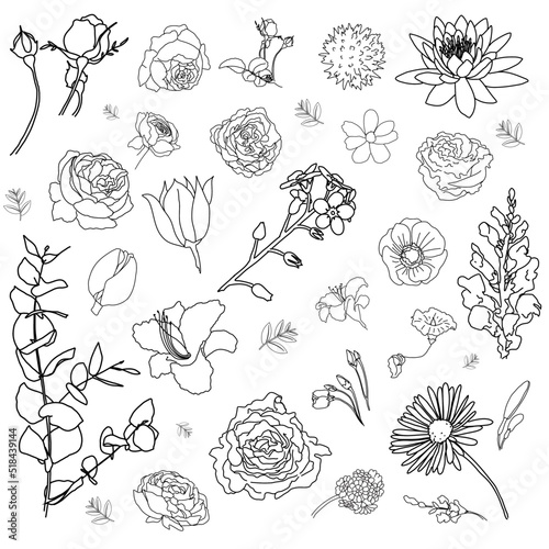Delicate Floral Linework photo