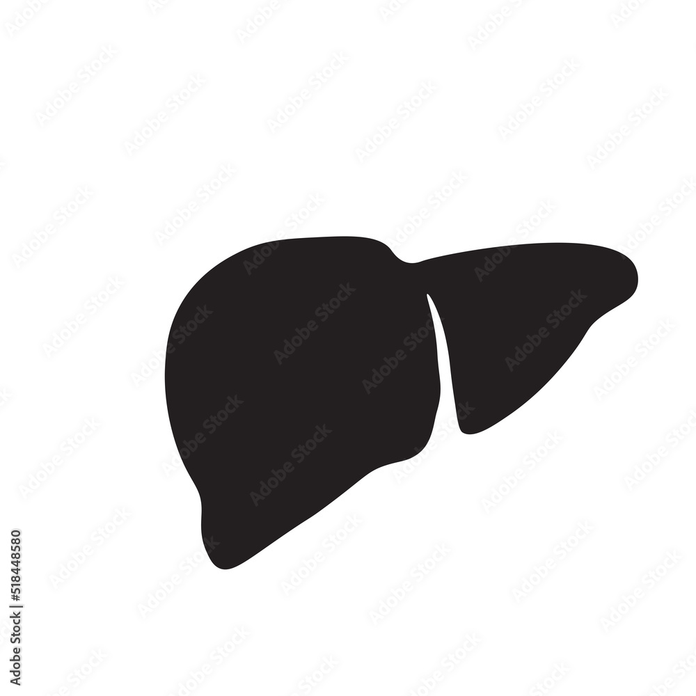 Liver icon vector illustration