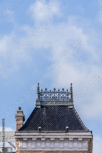 the roof of the castle