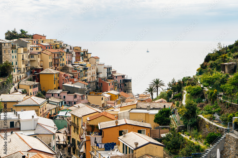 View of Manarola from above View of Manarola from above