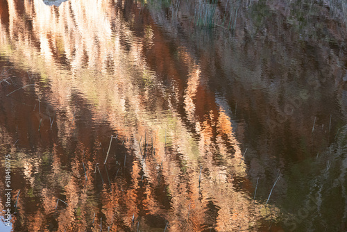 Pool reflections of red rock textures, Coppin's Gap photo