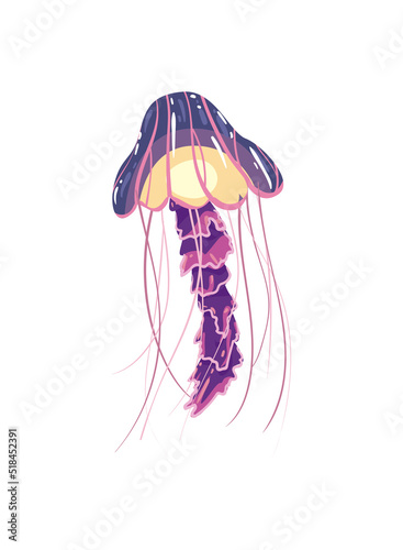 flat purple jellyfish